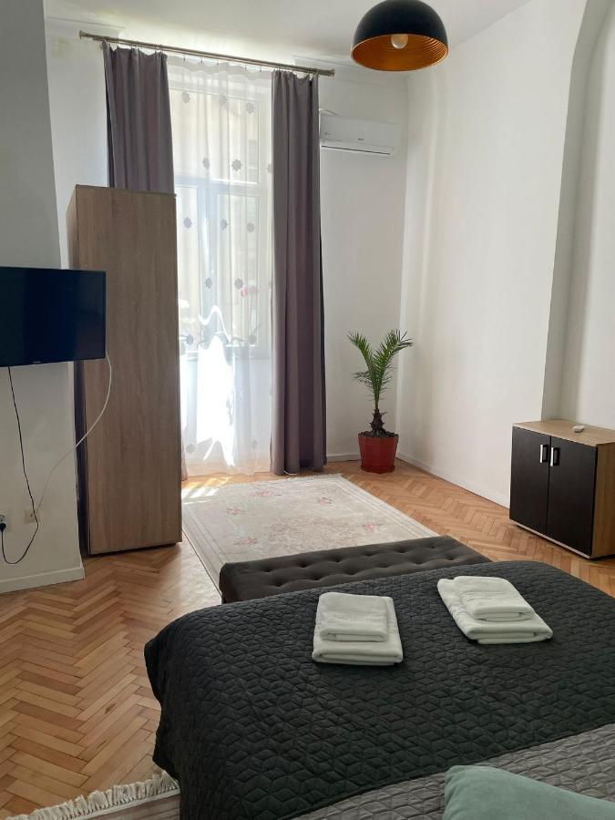 Apartment 21 Alecsandri *
